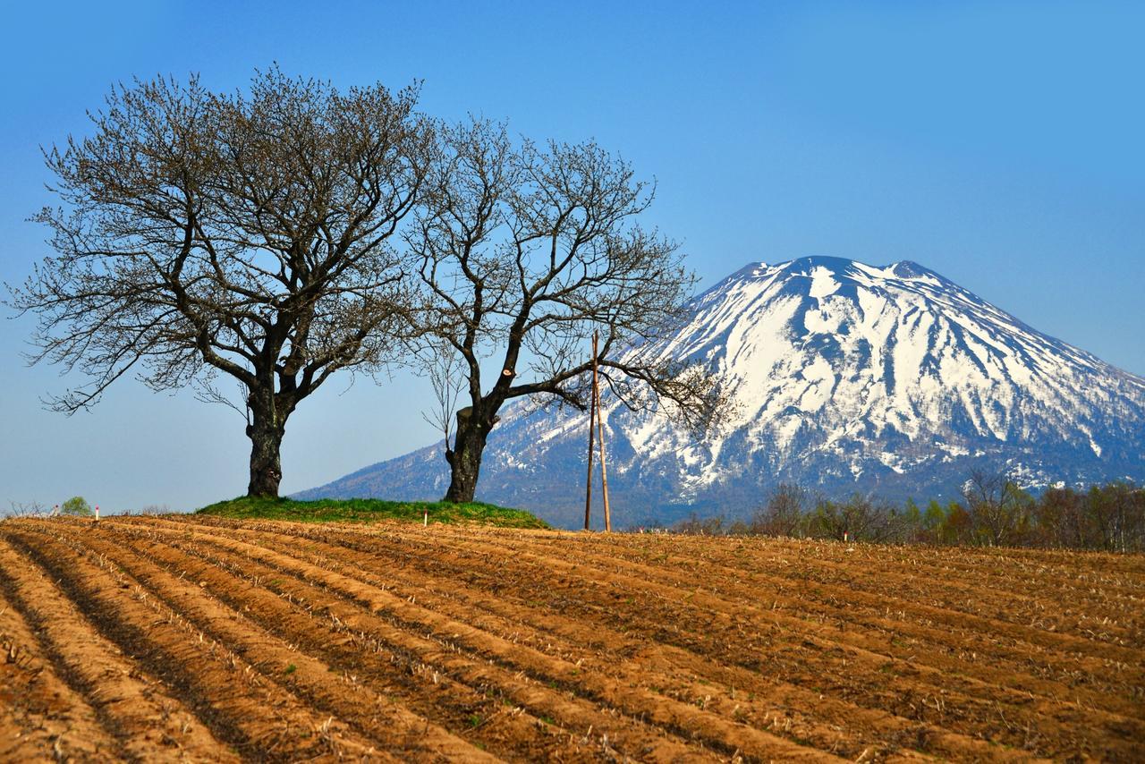 Hotel Niseko Alpen Kutchan Exteriör bild